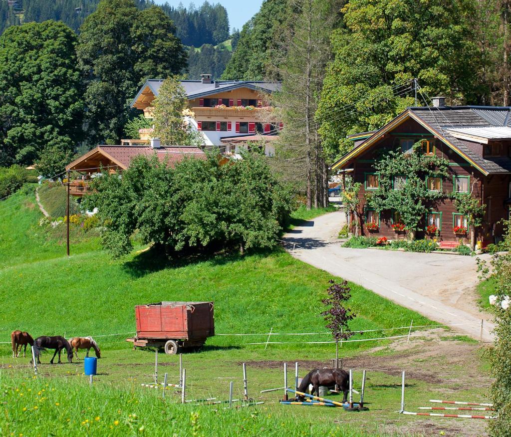 Отель Zauchtaler Hof Альтенмаркт  Экстерьер фото
